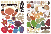 At the Seashore: My Nature Sticker Activity Book (Ages 5 and up, with 120 stickers, 24 activities and 1 quiz)