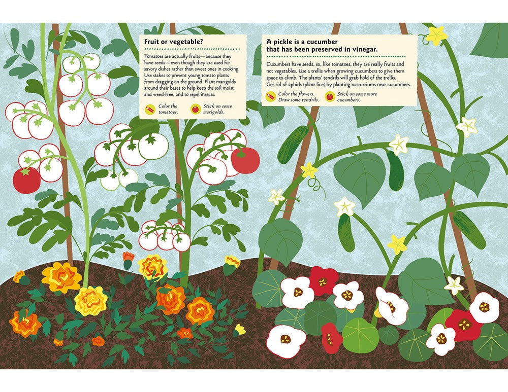 In the Vegetable Garden: My Nature Sticker Activity Book (Ages 5 and up, with 102 stickers, 24 activities, and 1 quiz)