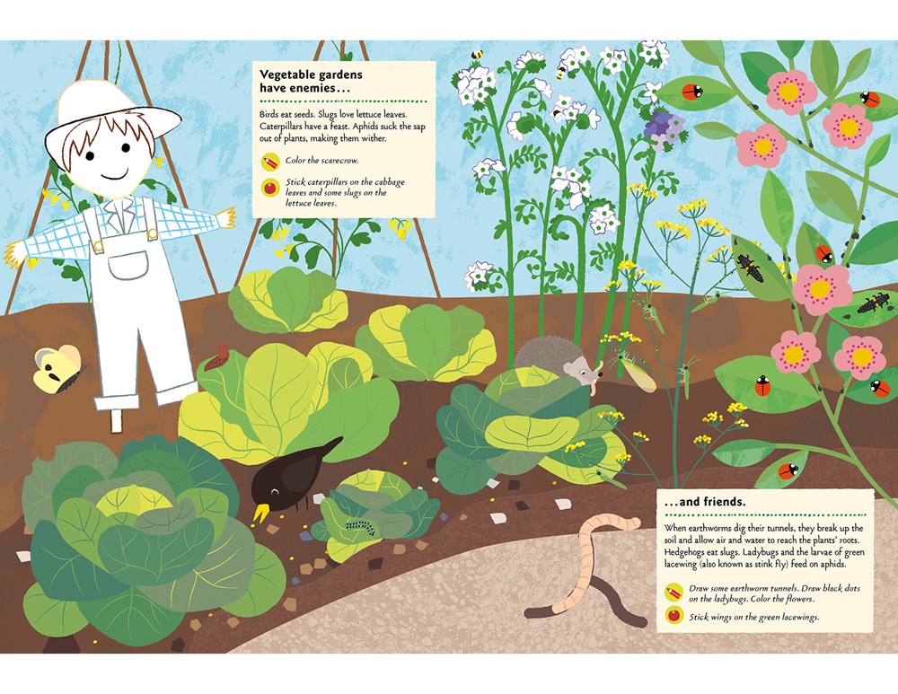 In the Vegetable Garden: My Nature Sticker Activity Book (Ages 5 and up, with 102 stickers, 24 activities, and 1 quiz)