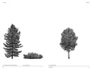 The Architecture of Trees