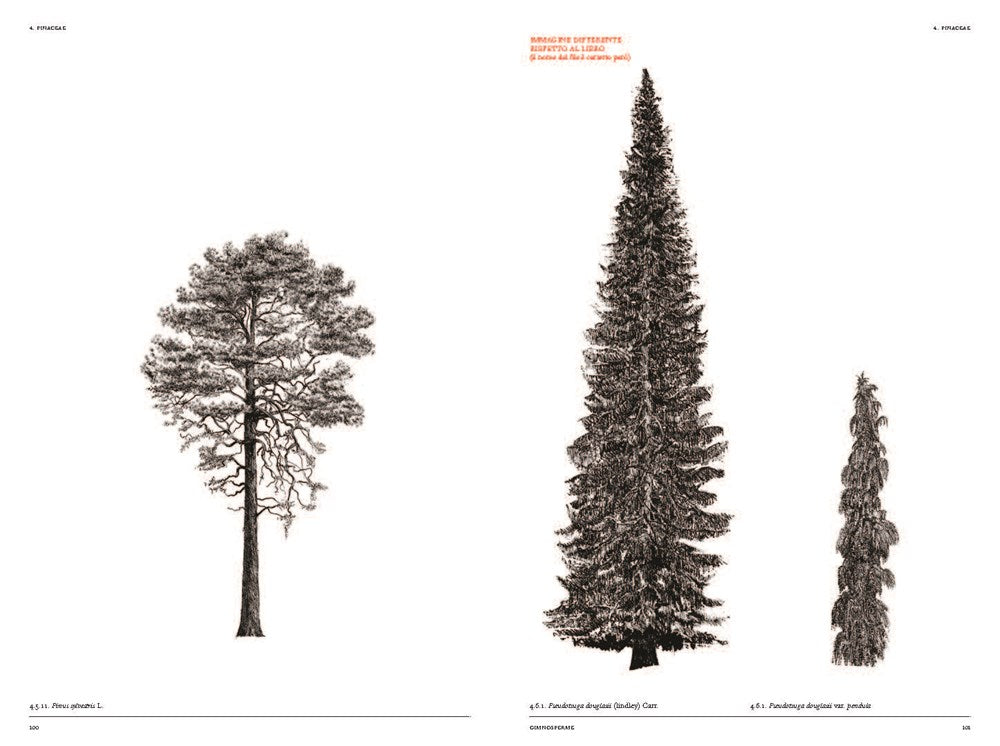 The Architecture of Trees