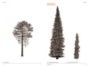 The Architecture of Trees