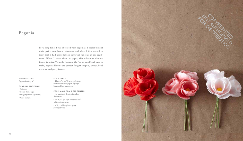 The Exquisite Book of Paper Flowers