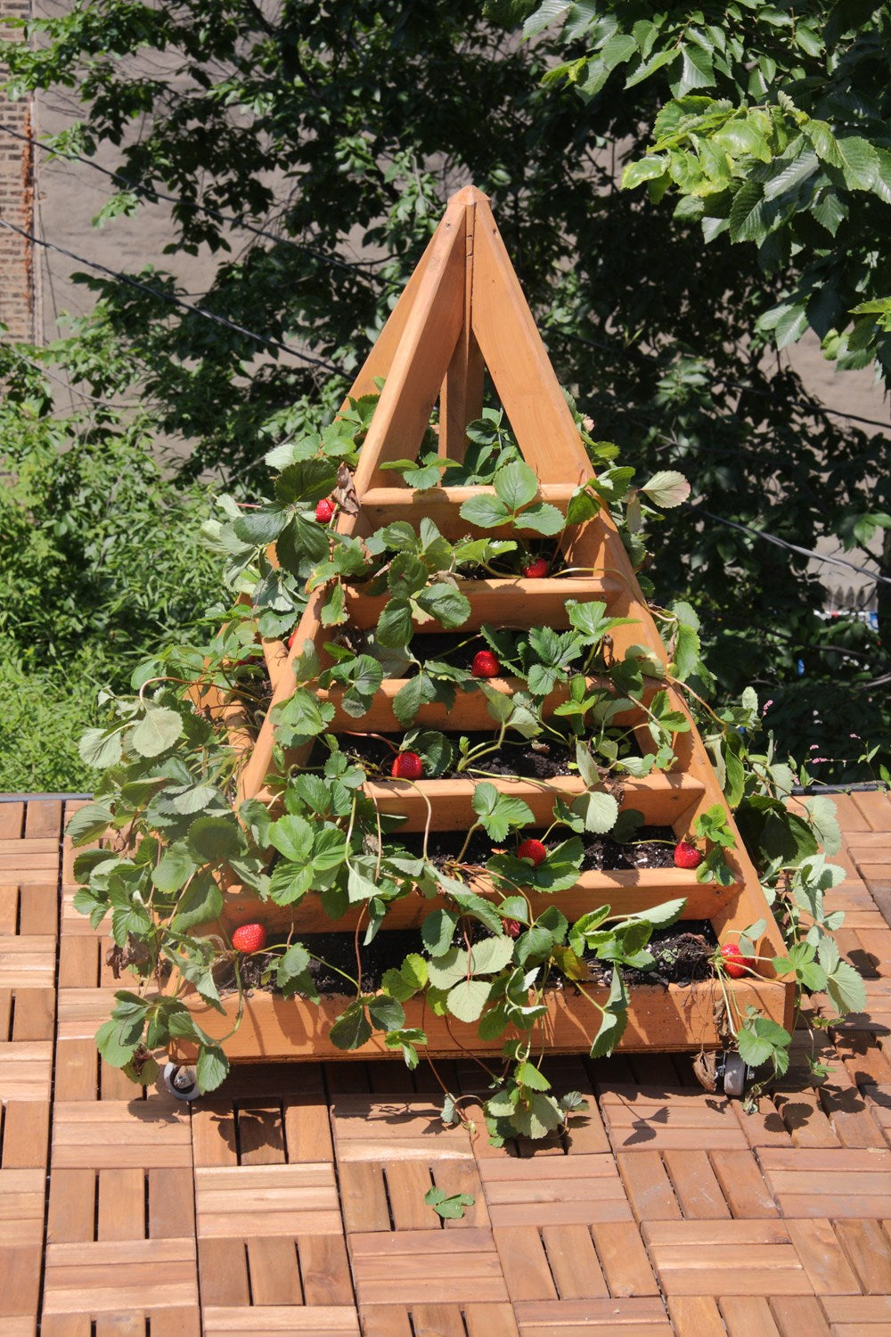 Outdoor Wood Projects