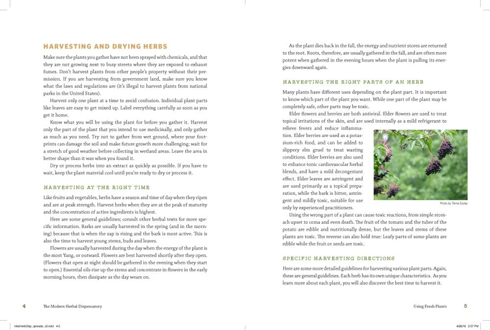 The Modern Herbal Dispensatory: A Medicine-Making Guide