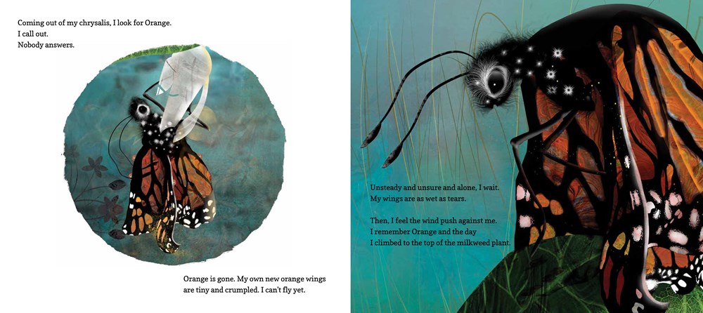 Hello, Little One: A Monarch Butterfly Story