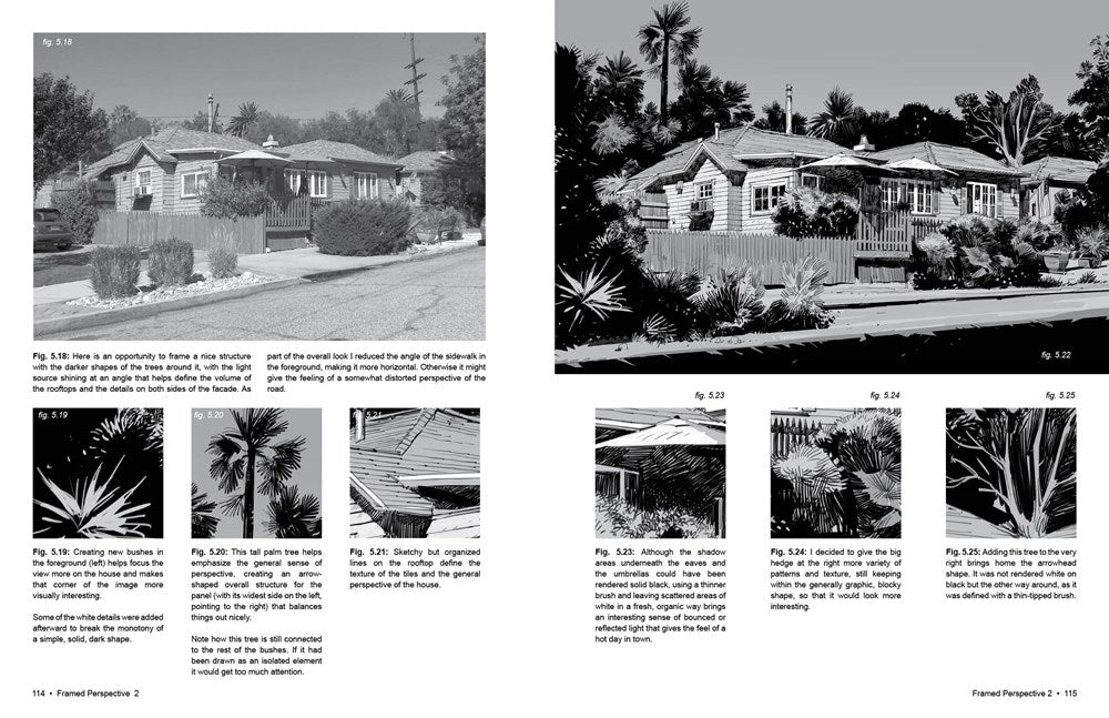 Framed Perspective Vol. 2