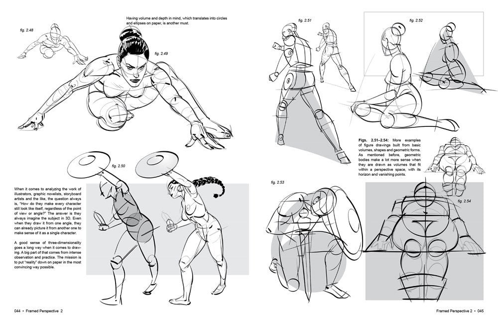 Framed Perspective Vol. 2