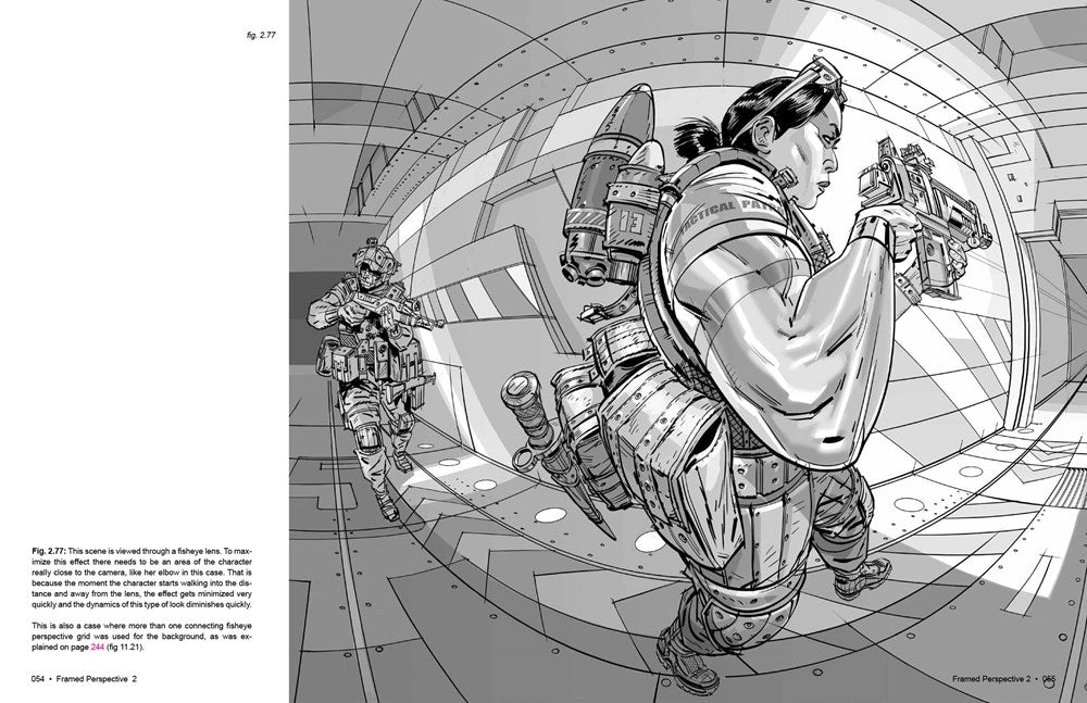 Framed Perspective Vol. 2