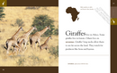 Giraffes