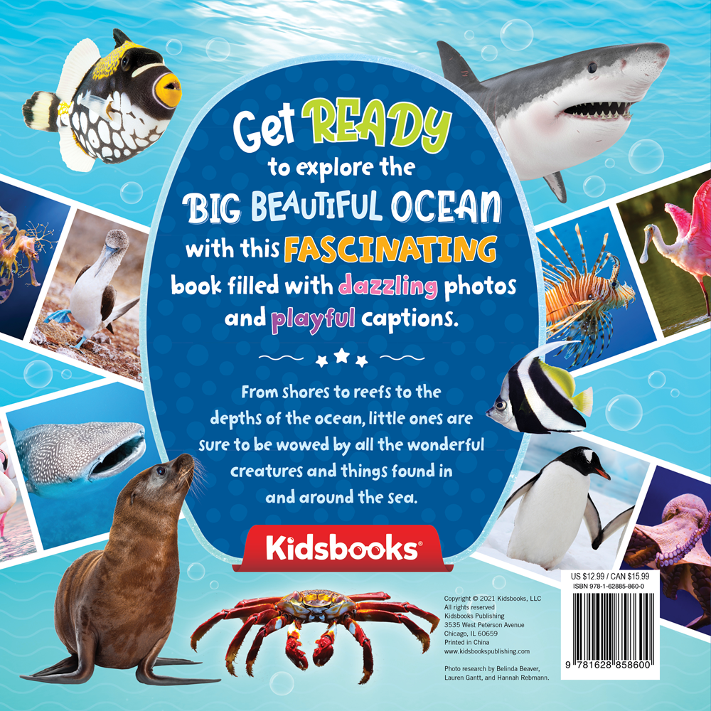 Big Beautiful Ocean: A Photographic Exploration!