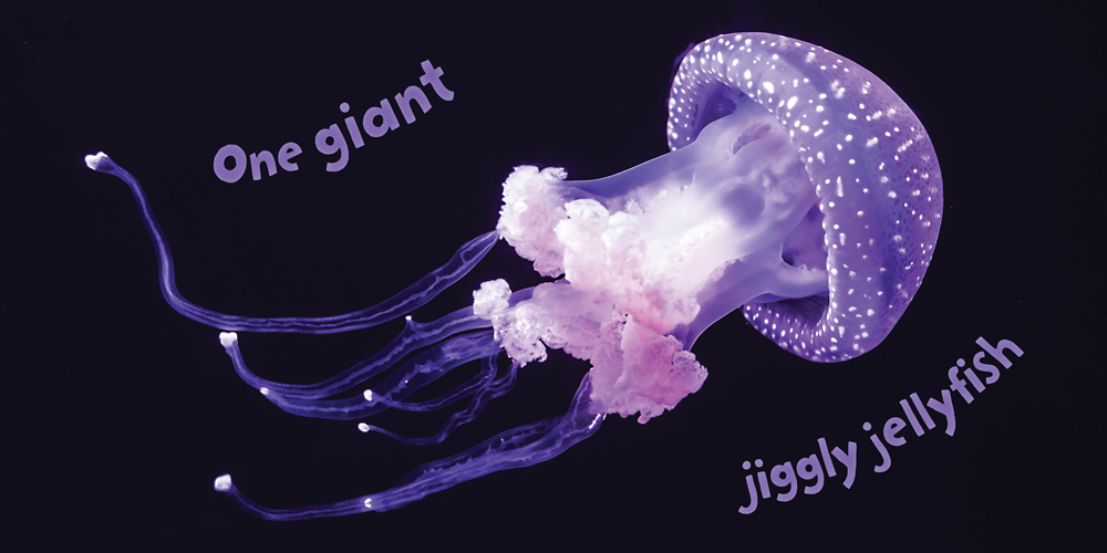 Big Beautiful Ocean: A Photographic Exploration!