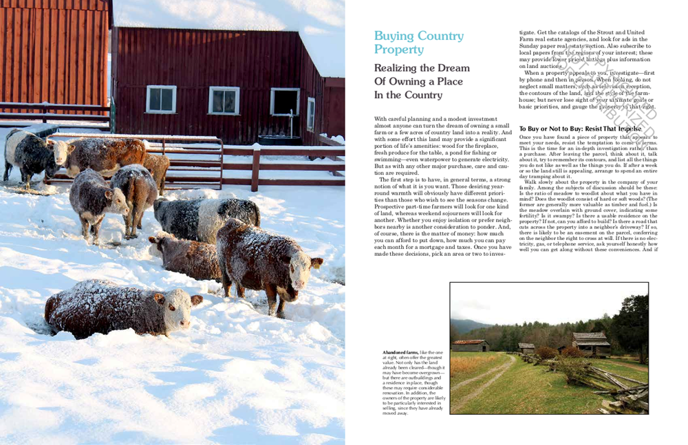 Back to Basics: A Complete Guide to Traditional Skills (4th Edition)