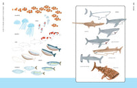 How to Draw Almost Everything