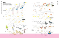 How to Draw Almost Everything