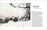 The Spirit of the Brush