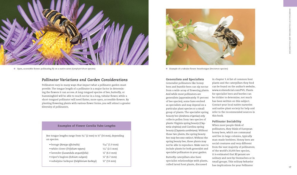 The Pollinator Victory Garden