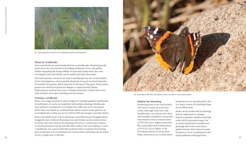 The Pollinator Victory Garden