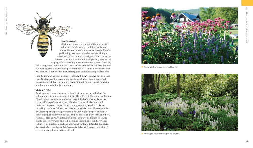 The Pollinator Victory Garden