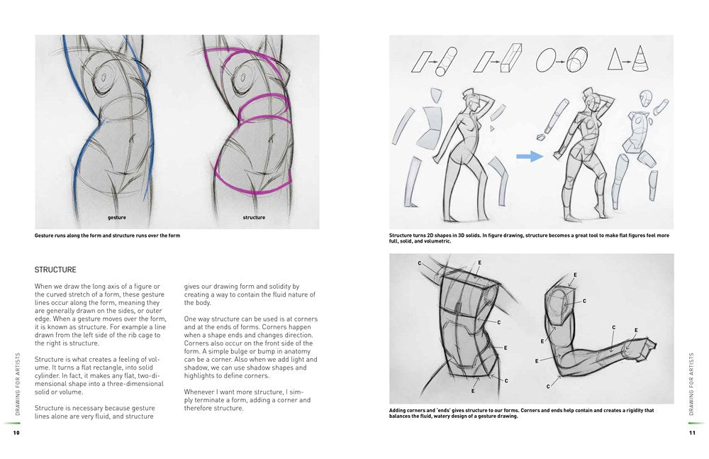 Life Drawing for Artists