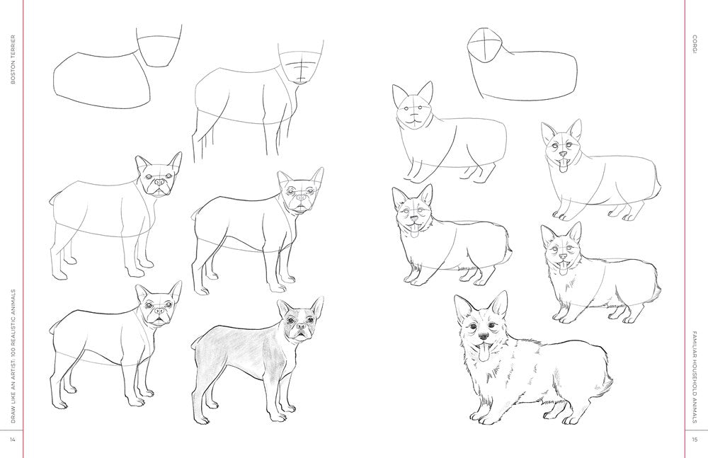 Draw Like an Artist: 100 Realistic Animals