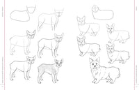 Draw Like an Artist: 100 Realistic Animals