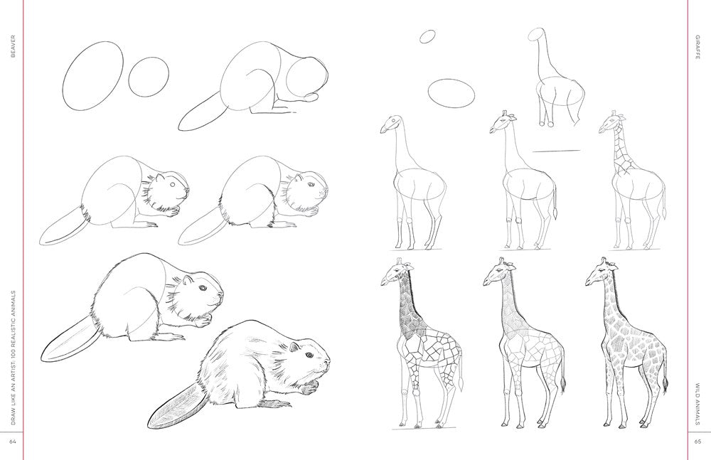 Draw Like an Artist: 100 Realistic Animals