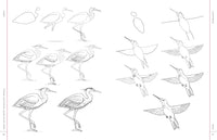 Draw Like an Artist: 100 Realistic Animals