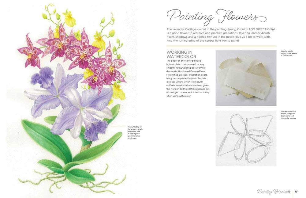 Drawing and Painting Botanicals for Artists