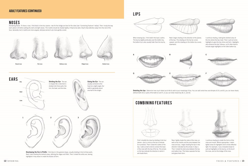 Drawing: Faces & Features