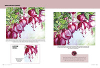 Oil & Acrylic: Flowers