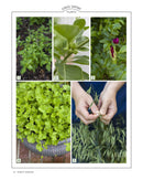Grow Your Own Herbal Remedies