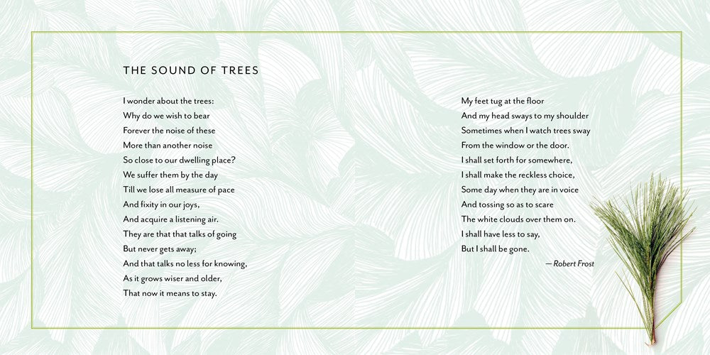 Forest Bathing Retreat