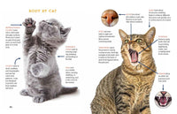 A Kid's Guide to Cats