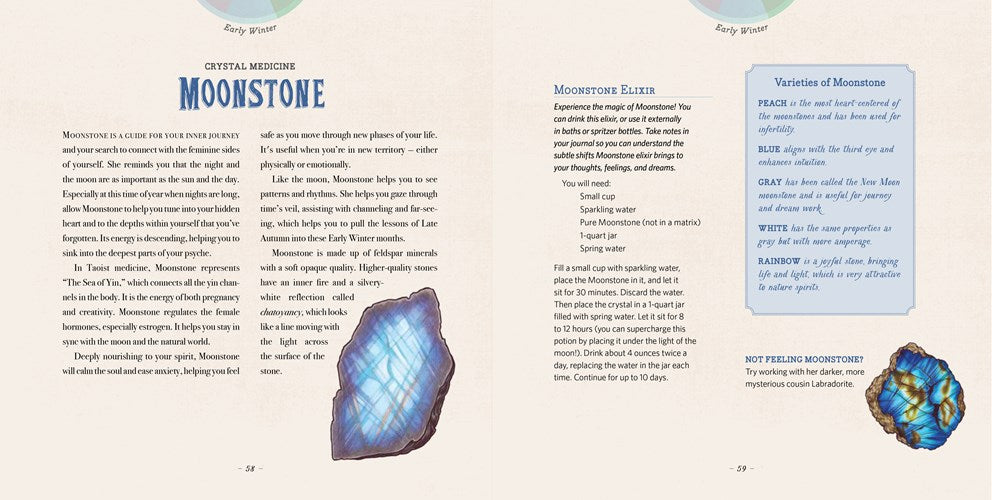 Maia Toll's Wild Wisdom Companion