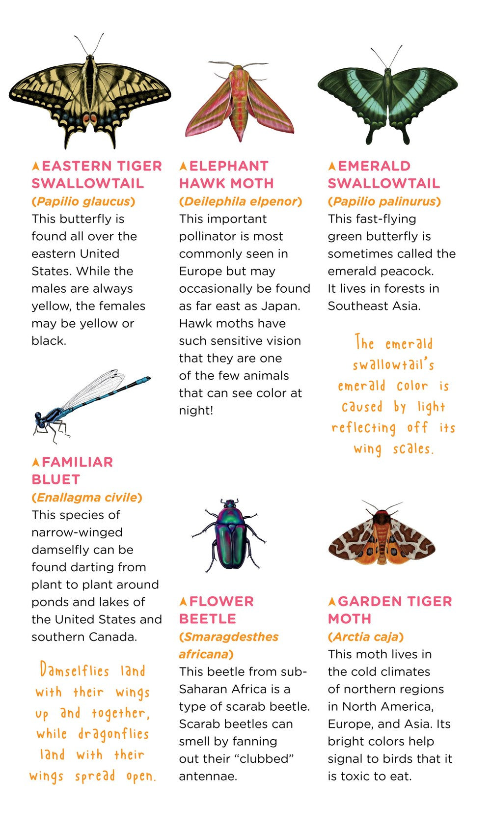 Fluttery, Friendly Tattoo Butterflies and Other Insects