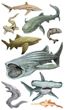 Super, Strong Tattoo Sharks