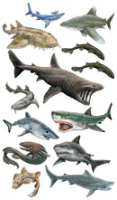 Super, Strong Tattoo Sharks