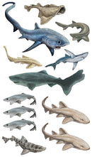 Super, Strong Tattoo Sharks