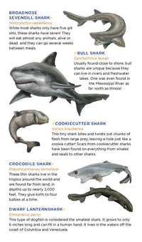 Super, Strong Tattoo Sharks