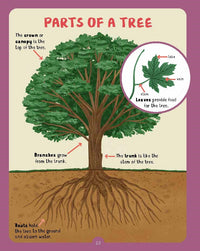 Backpack Explorer: Discovering Trees