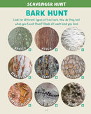 Backpack Explorer: Discovering Trees