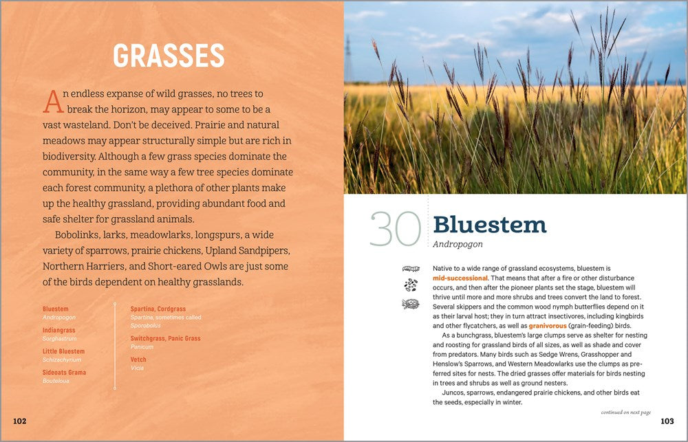 100 Plants to Feed the Birds