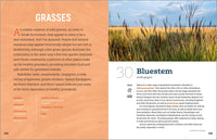 100 Plants to Feed the Birds