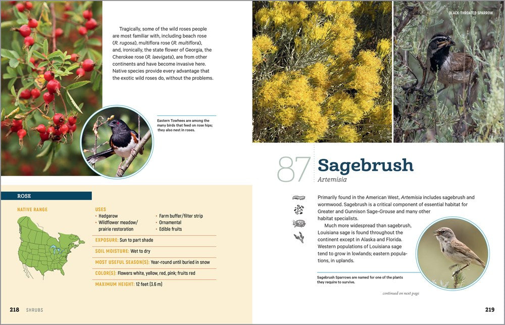 100 Plants to Feed the Birds