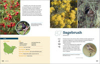 100 Plants to Feed the Birds