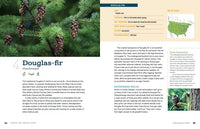 100 Plants to Feed the Birds