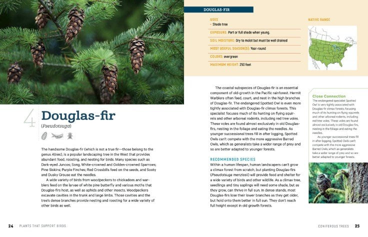 100 Plants to Feed the Birds