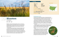 100 Plants to Feed the Birds