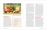 Let's All Keep Chickens!